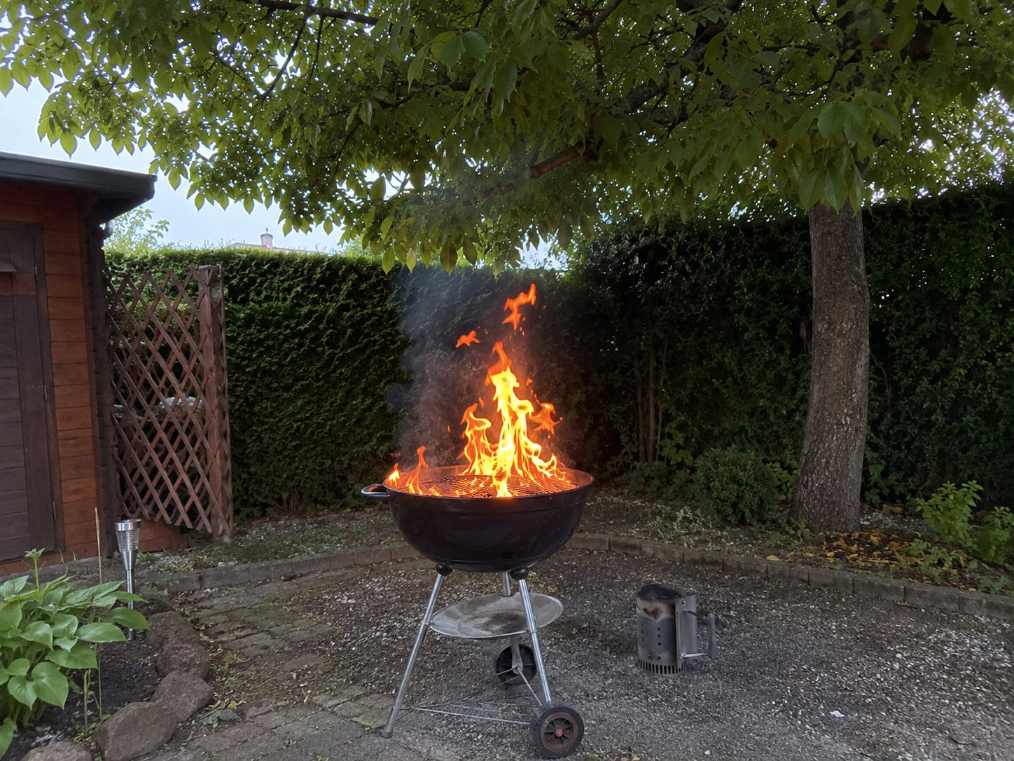 Feuerschale unter Baum