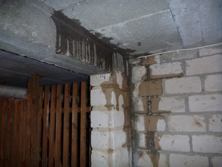 Wassereinbruch in Wohnung