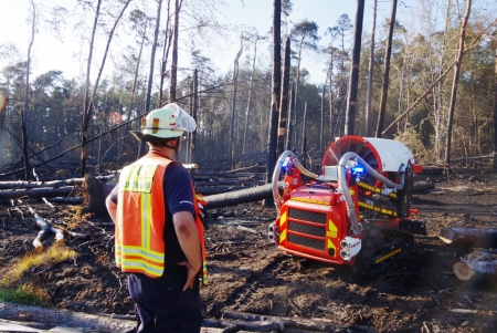 Waldbrand in Münster