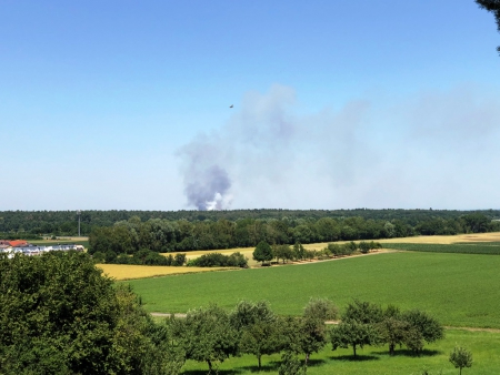 Waldbrand in Münster