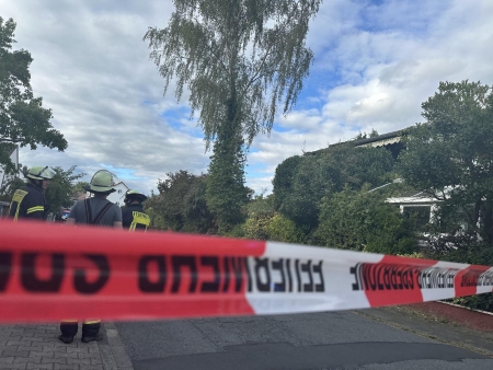Umgestürzter Baum am Mönchsteg
